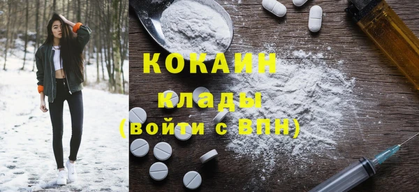 apvp Инсар