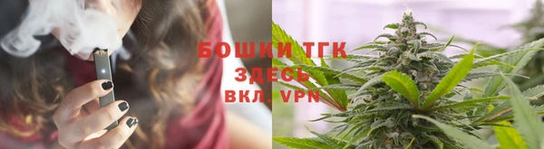 apvp Инсар