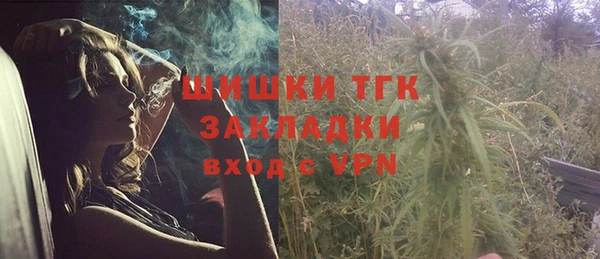 apvp Инсар