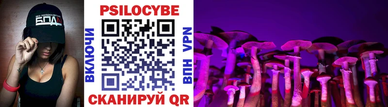 Псилоцибиновые грибы Psilocybe  Купить  Касли 